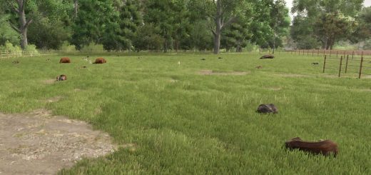 Automatic Drinking Trough v1.0