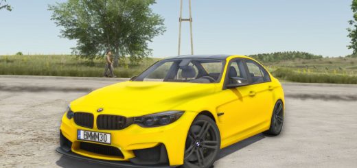 BMW M3 F80 v1.0.0.1