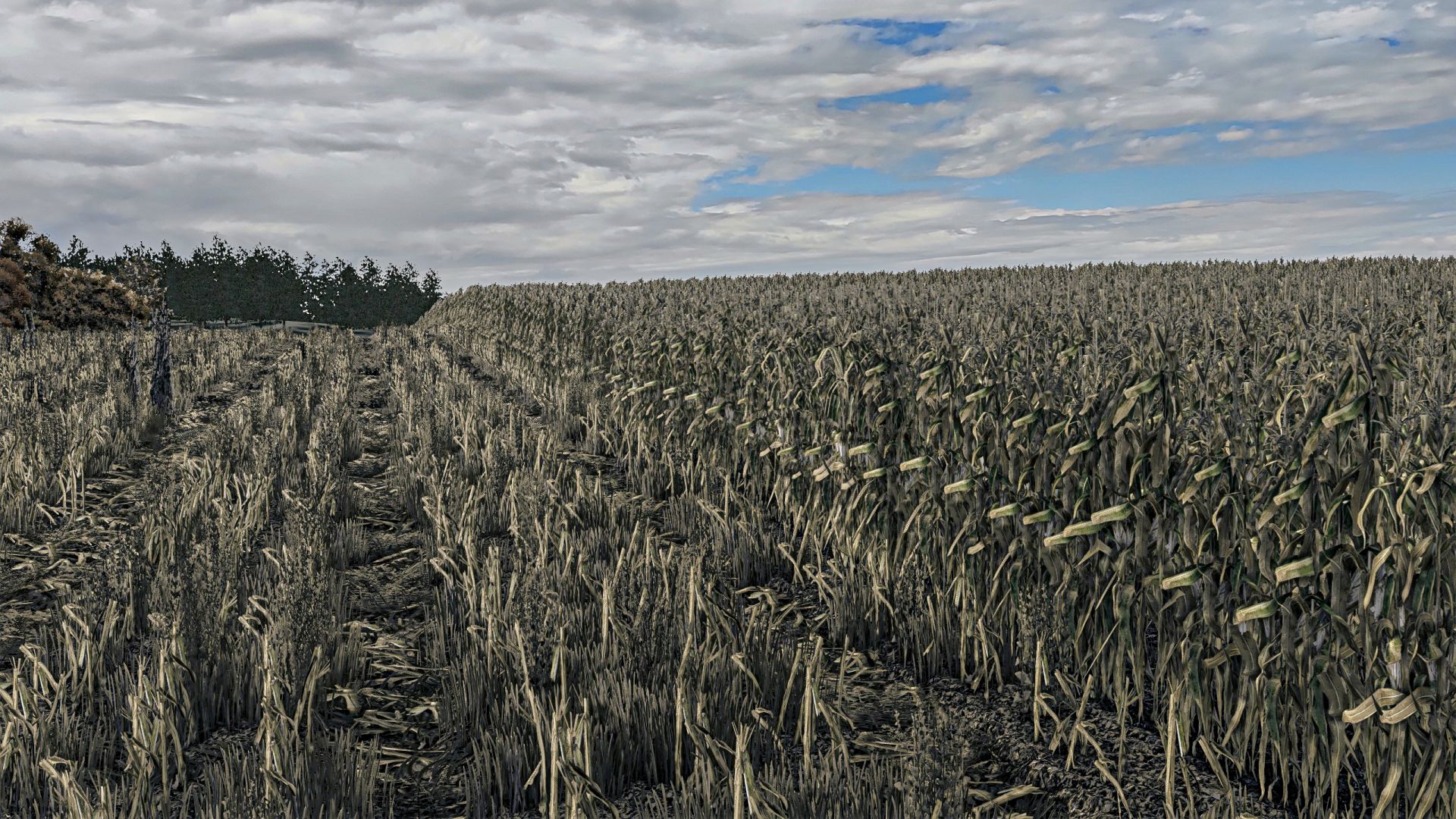 Corn Texture New Gen 2 V1.0
