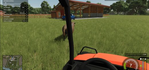 Animal Herding Lite V1.1.0.1