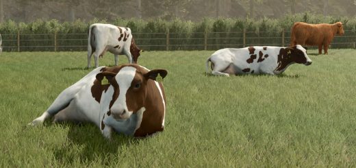 Animal Package Vanilla Edition V1.0.2.1