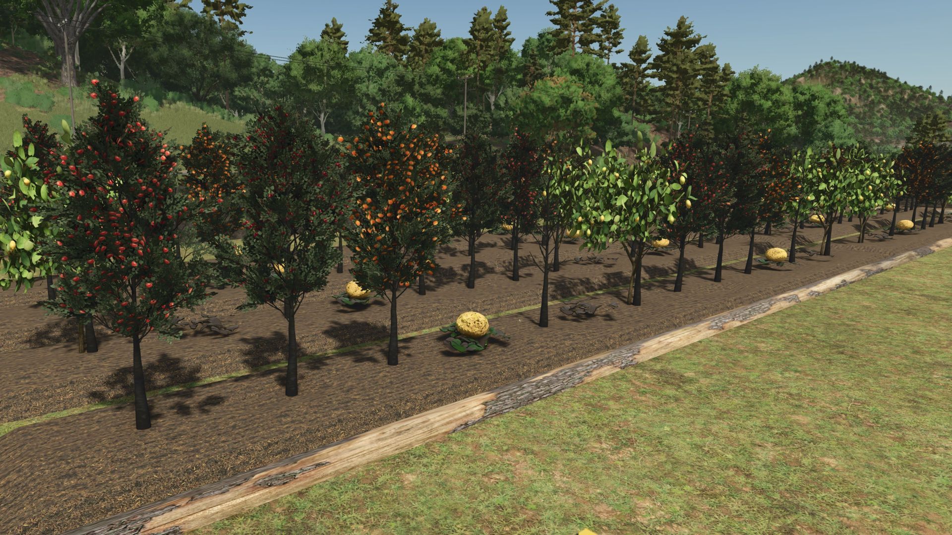 Fruit orchards v1.2.0.6