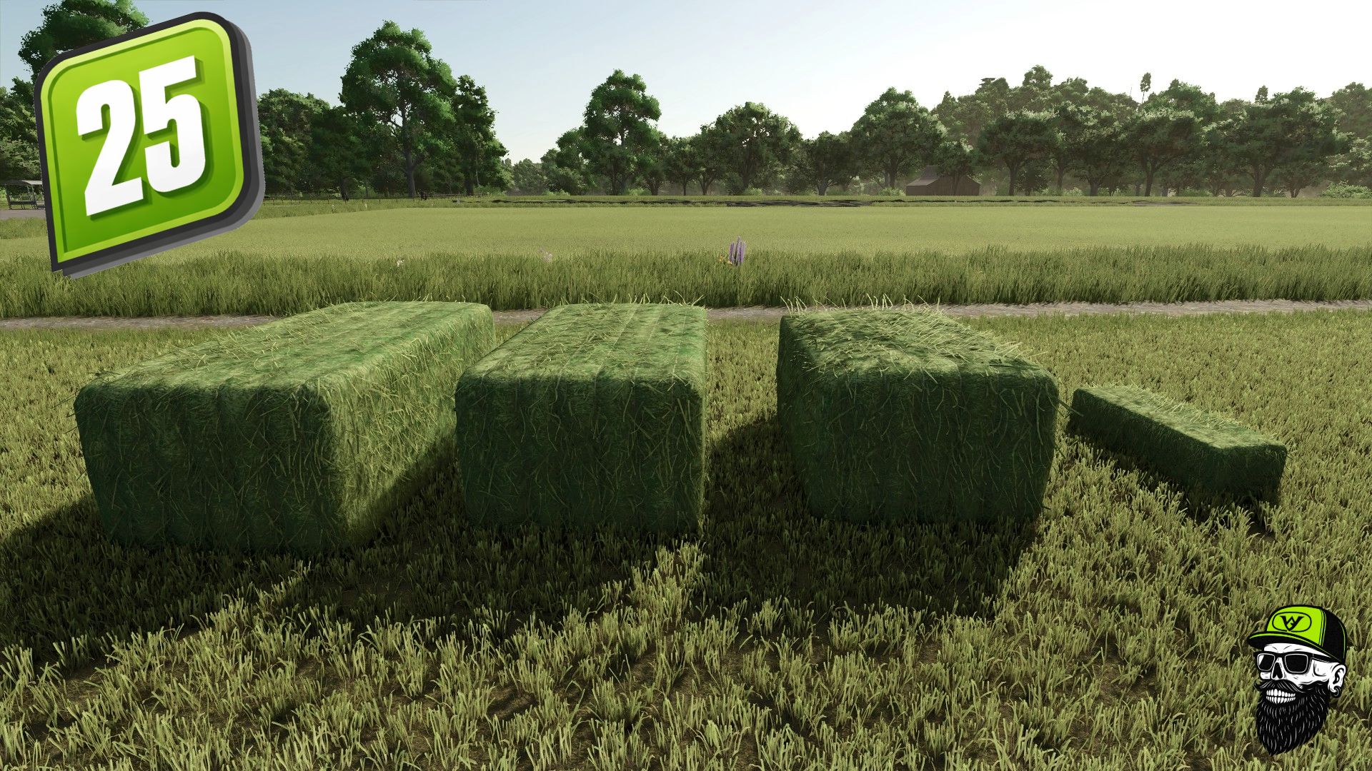 Grass/Hay Bale Textures V1.0