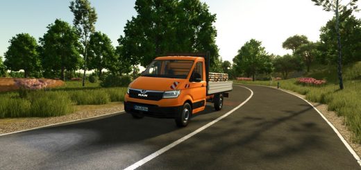 MAN TGE Flatbed v1.1