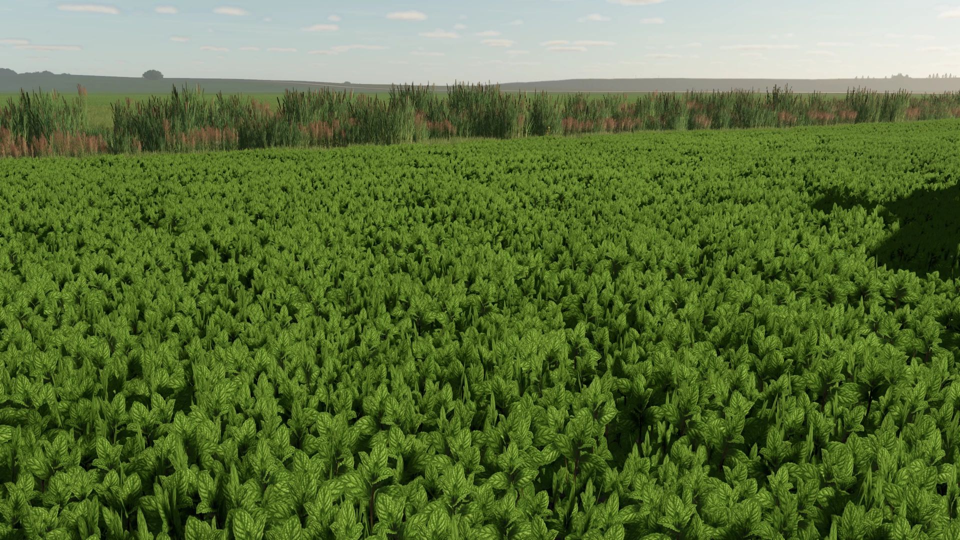 Mint Foliage v1.0