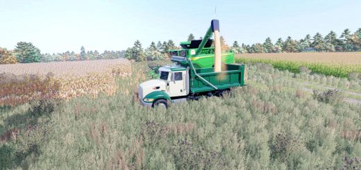 Peterbilt DOH 340 DUMP v1.0