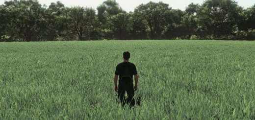 Realistic Oat Growth Cycle in Europe v1.0