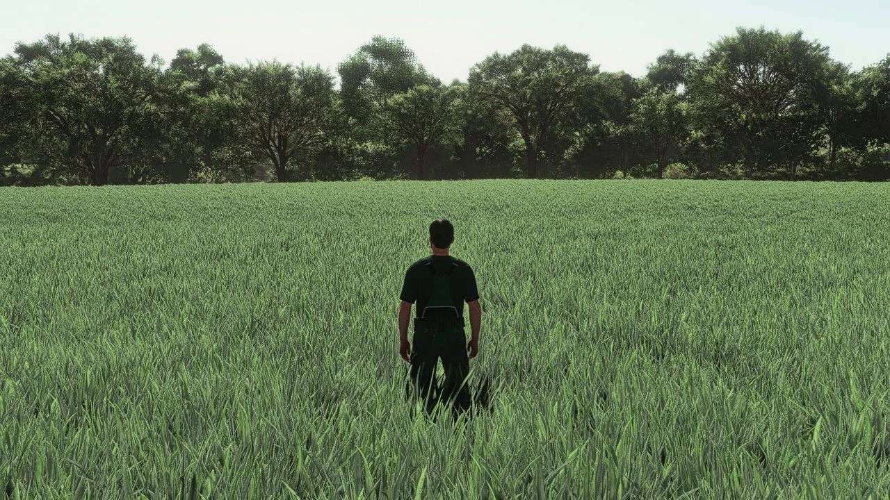 Realistic Oat Growth Cycle in Europe v1.0