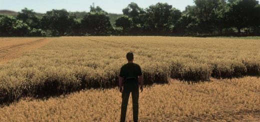 Realistic Wheat & Barley – Europe Growth Cycle v1.0