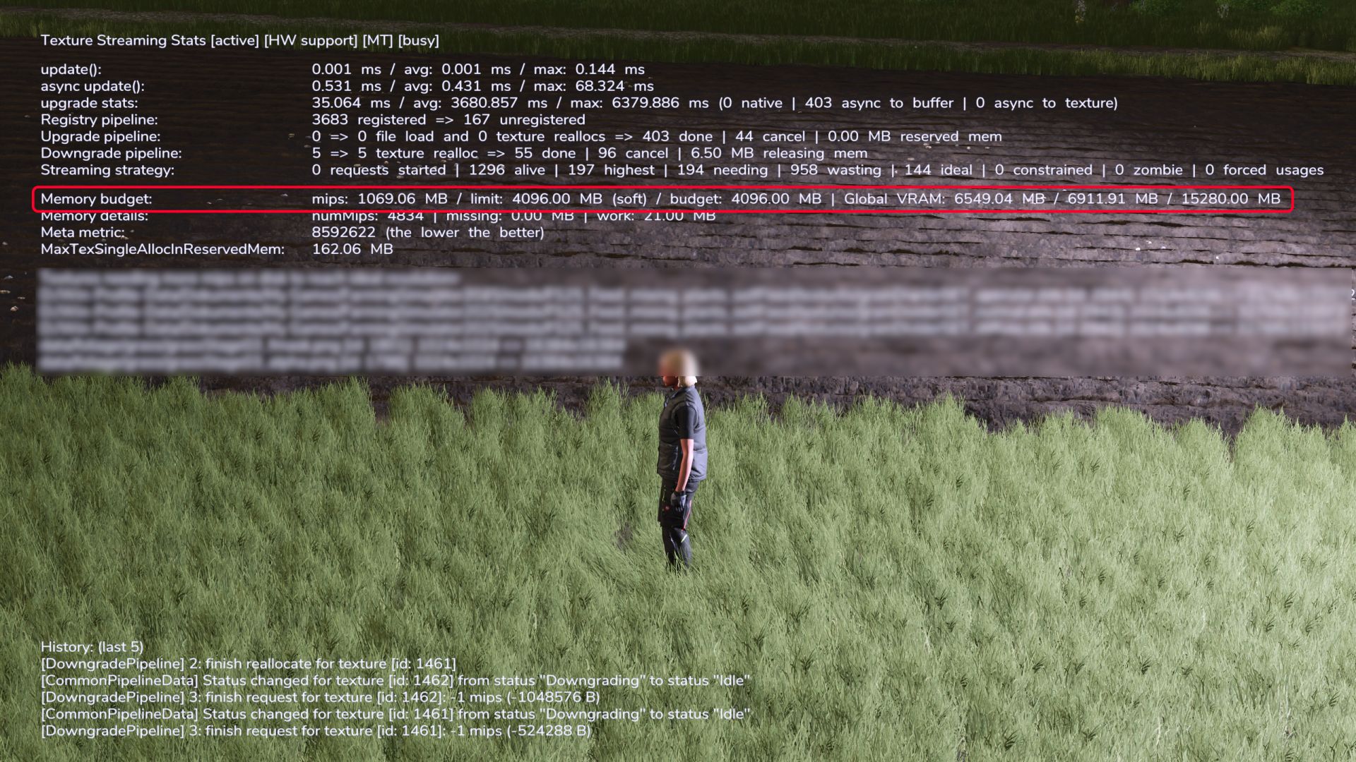 Texture Streaming Budget 200% (8GB) v1.0