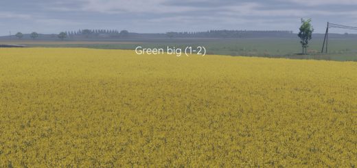 Better canola texture v1.0