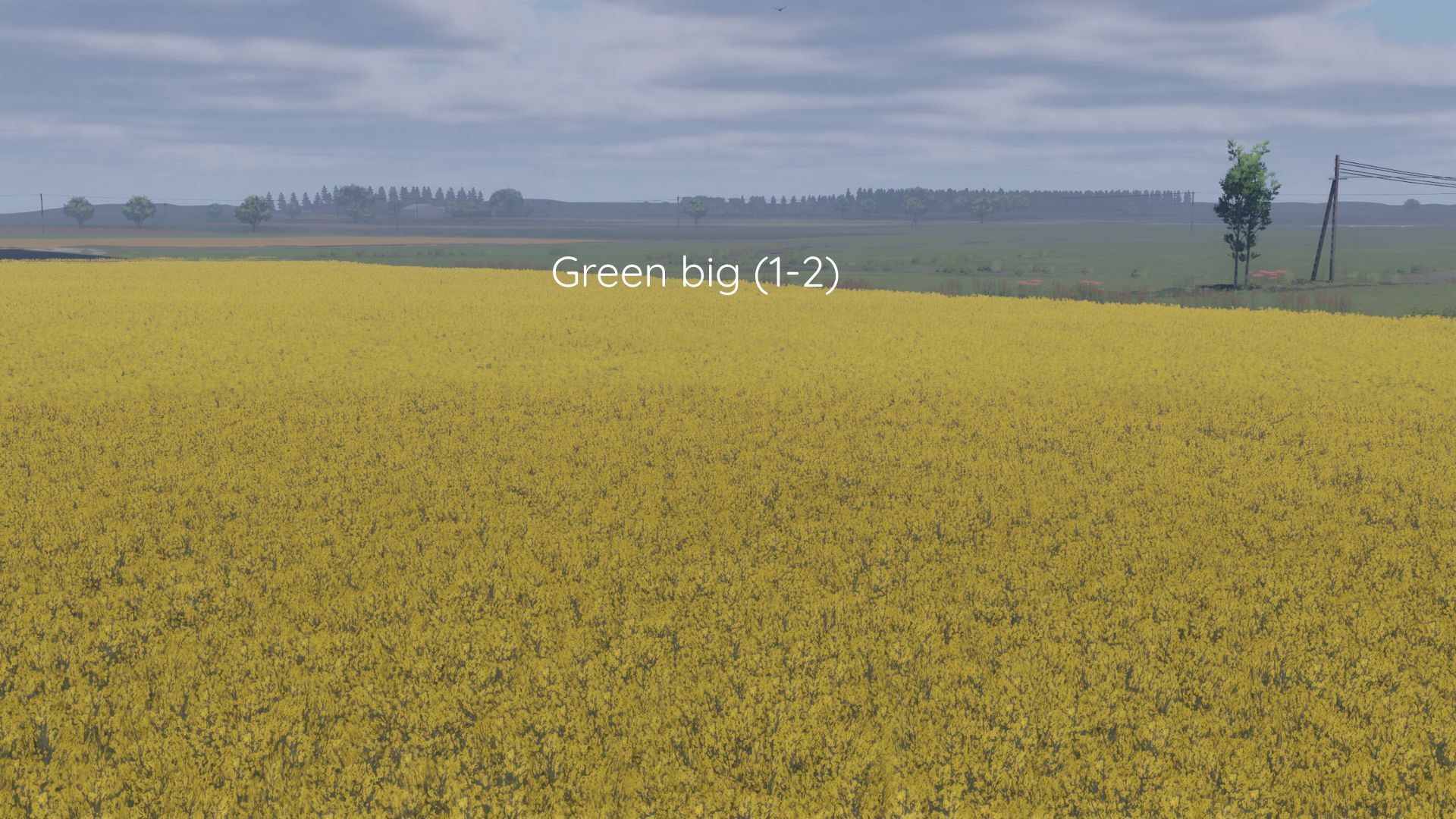 Better canola texture v1.0