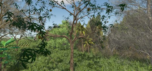 Mango Tree v1.0