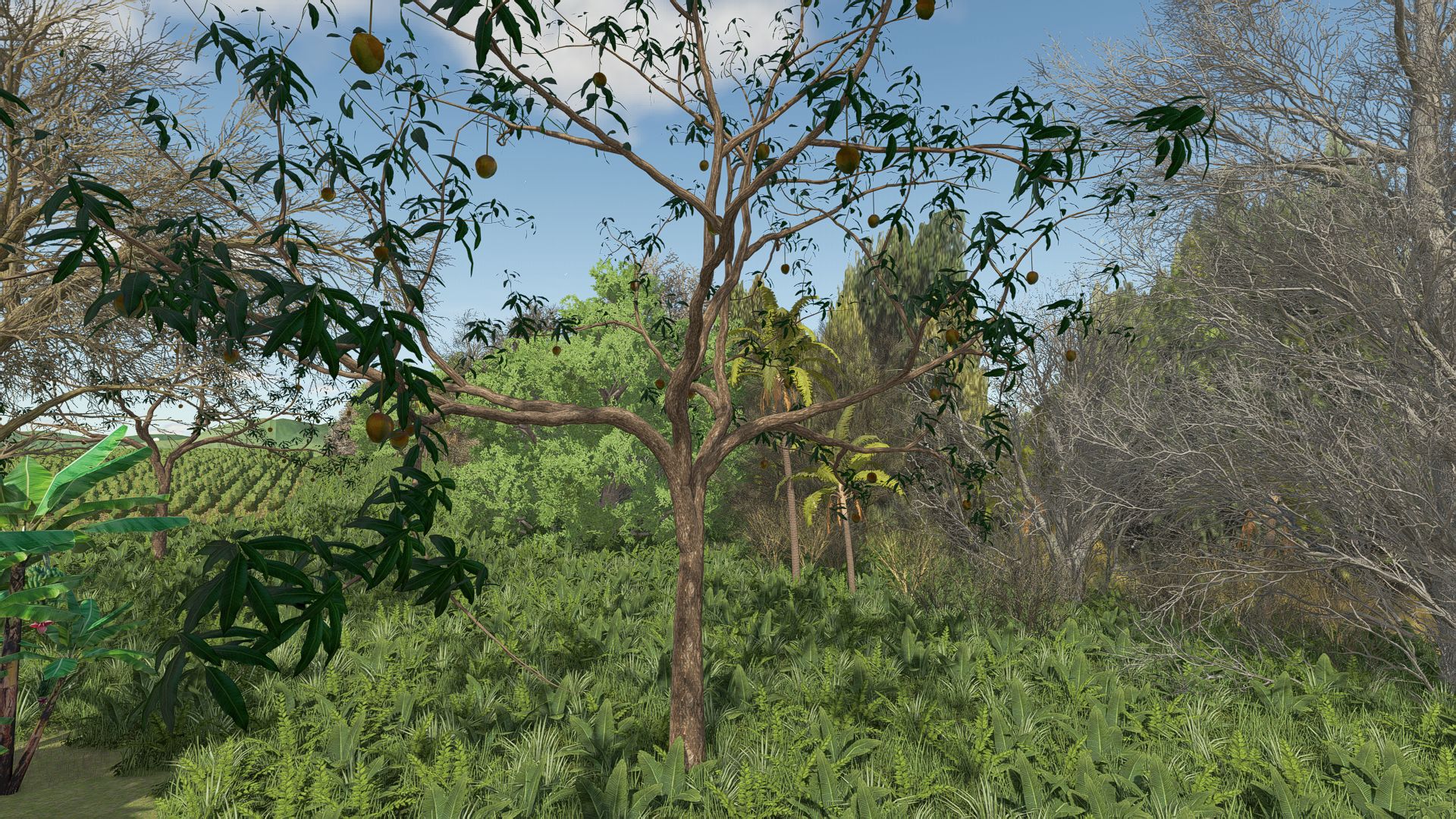 Mango Tree v1.0