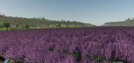 Silverrun Forest Multifruit Edition v1.2