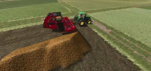 Amity 2720 (Onions) v1.0