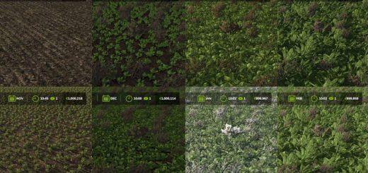 Fast Growth v1.0.1.0