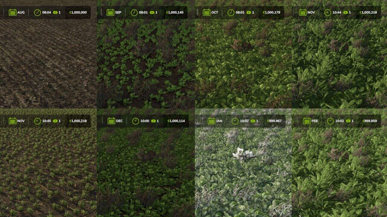 Fast Growth v1.0.1.0