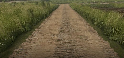 Mud and cobblestone Roads V1.0