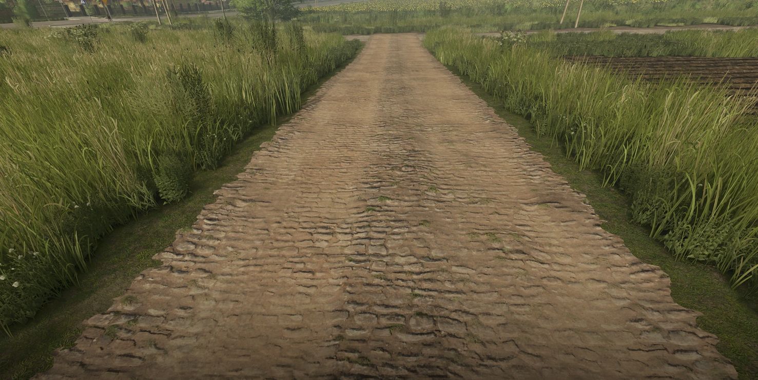 Mud and cobblestone Roads V1.0