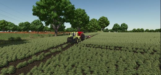 Saaleplatte v1.0.0.1