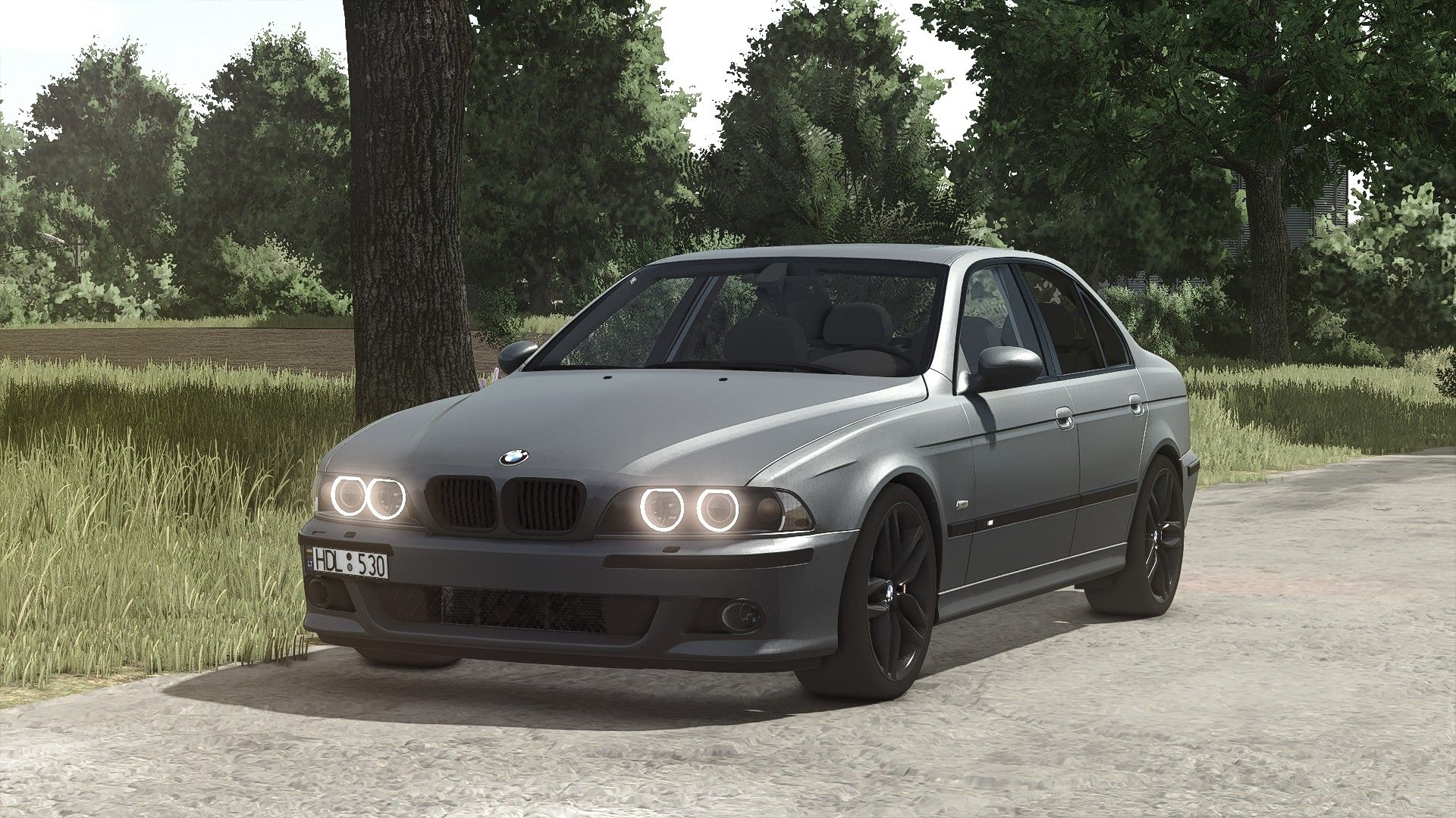 BMW E39 530D V1.4