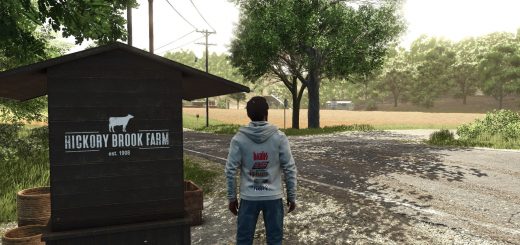 Performance brands Hoodie v1.0