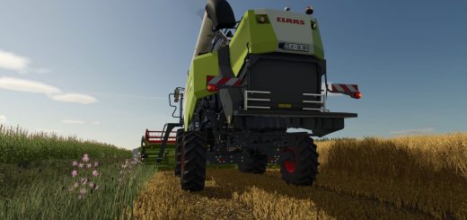 Stubble destruction v1.0.0.2