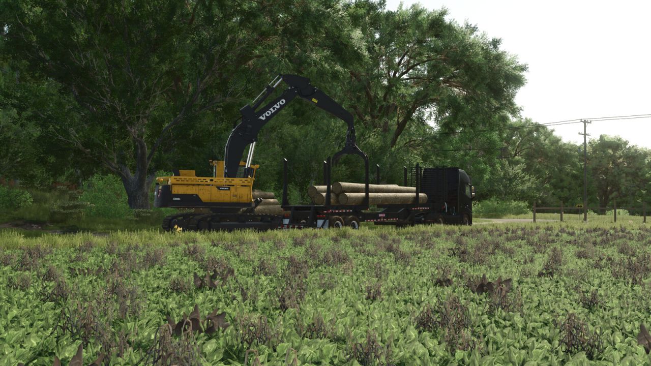 Wood Storage v1.0.0.1