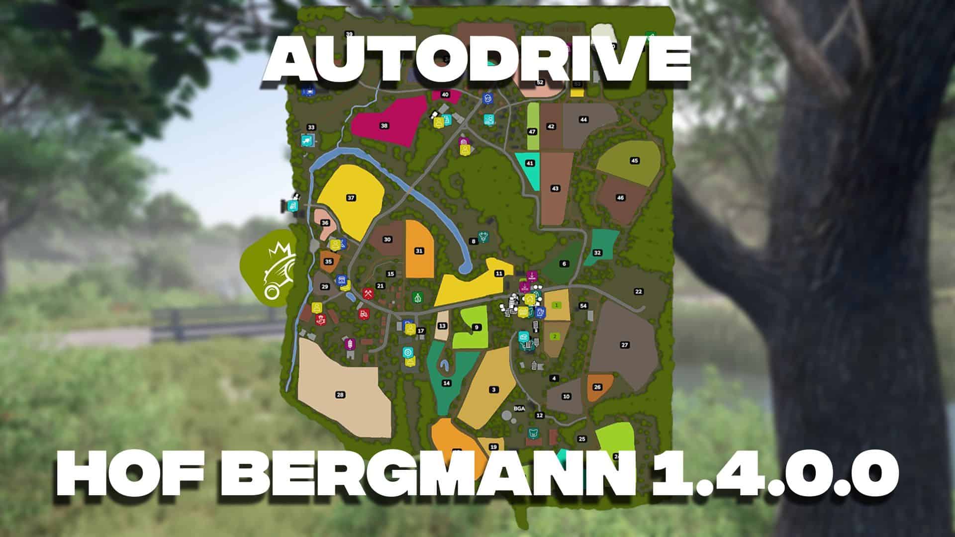 Autodrive Hof Bergman 1.4