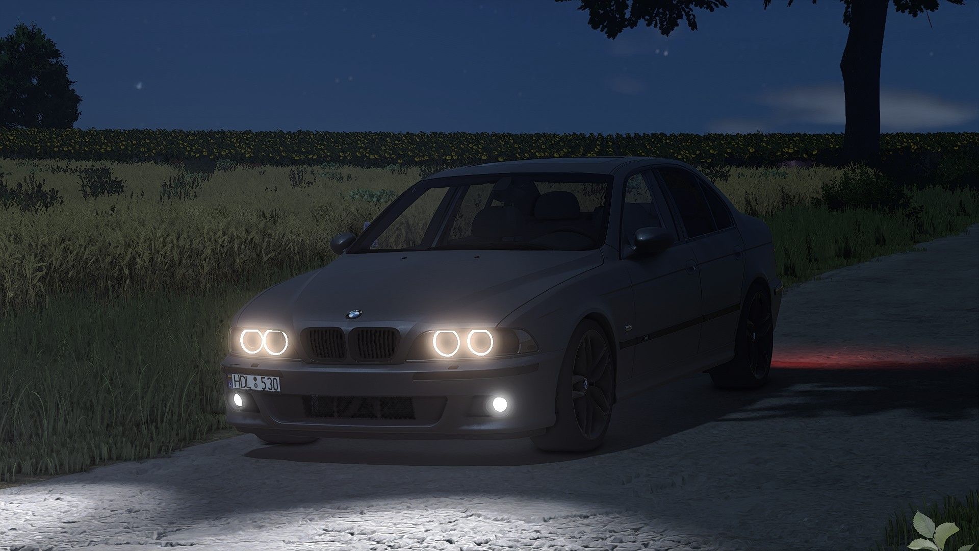 BMW E39 530D v1.5