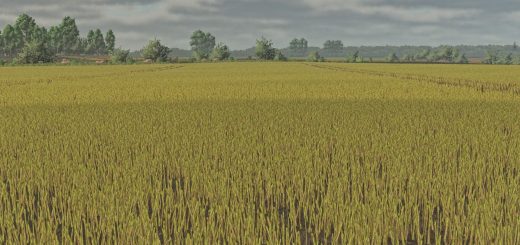 Canola foliages textures v1.0