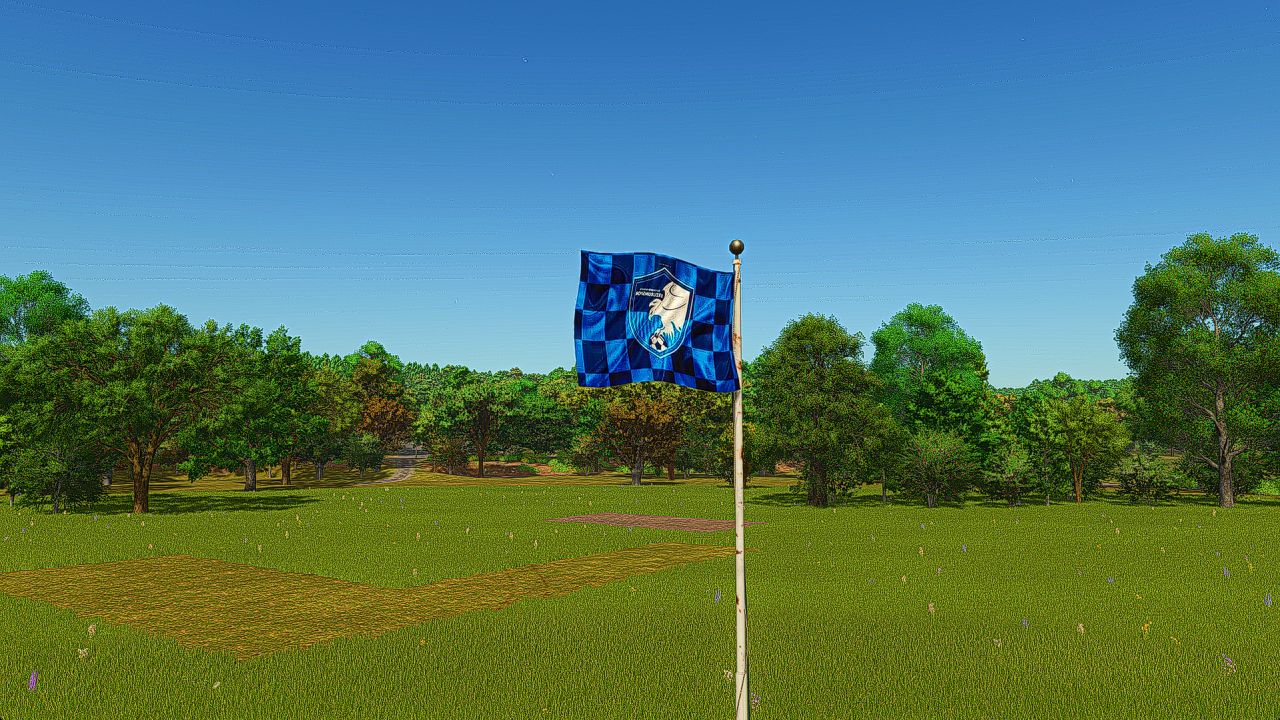 Erzurum Sports Flag v1.0