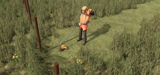 Stihl Weed Trimmer v1.0