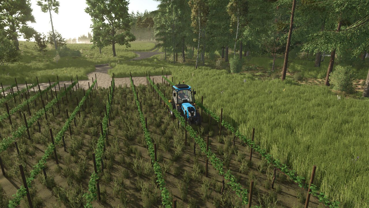 TerraFusion And Grape Olives Vines v1.0