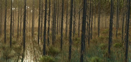 Umbreon Valley v1.0.0.1