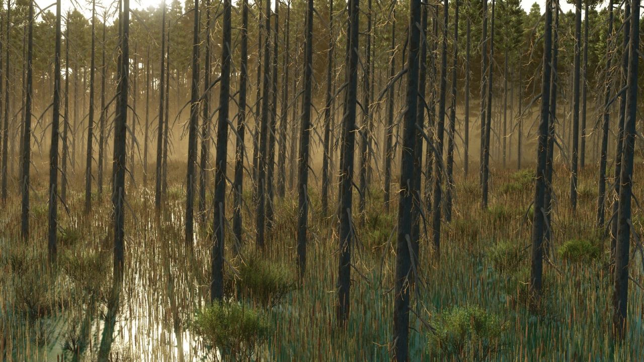 Umbreon Valley v1.0.0.1