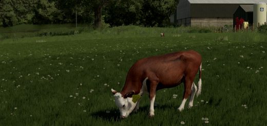 Cow Breeds (RLRM) v1.0.4.0
