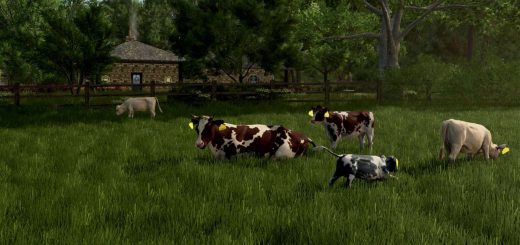 Cow Breeds (RLRM) V1.0.4