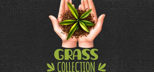 Grass Collection v1.0