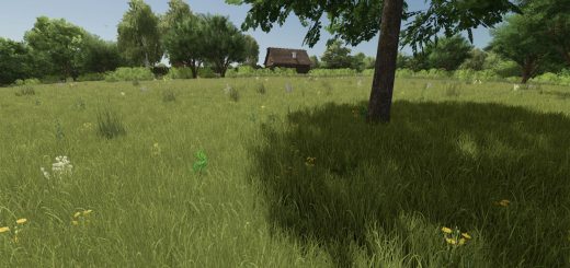 Growing Random Trees BETA v1.0