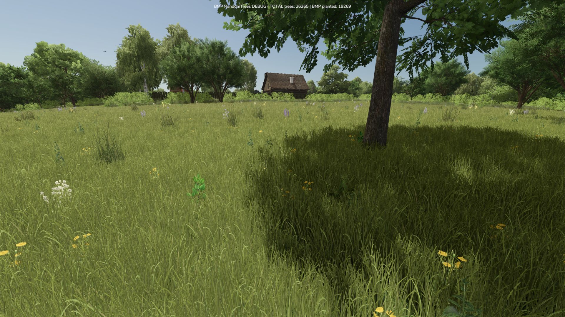 Growing Random Trees BETA v1.0