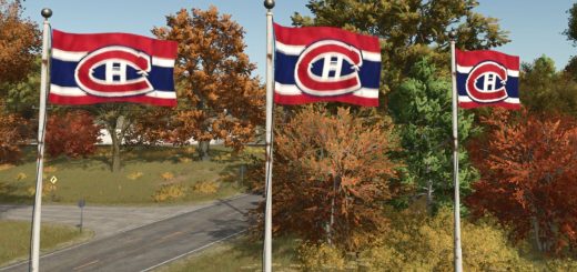 Montreal Canadian Hockey flag v1.0