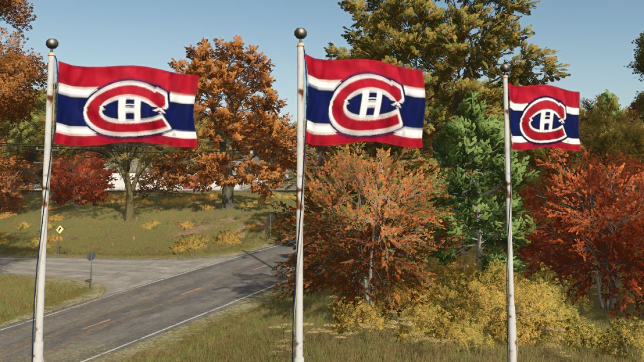 Montreal Canadian Hockey flag v1.0