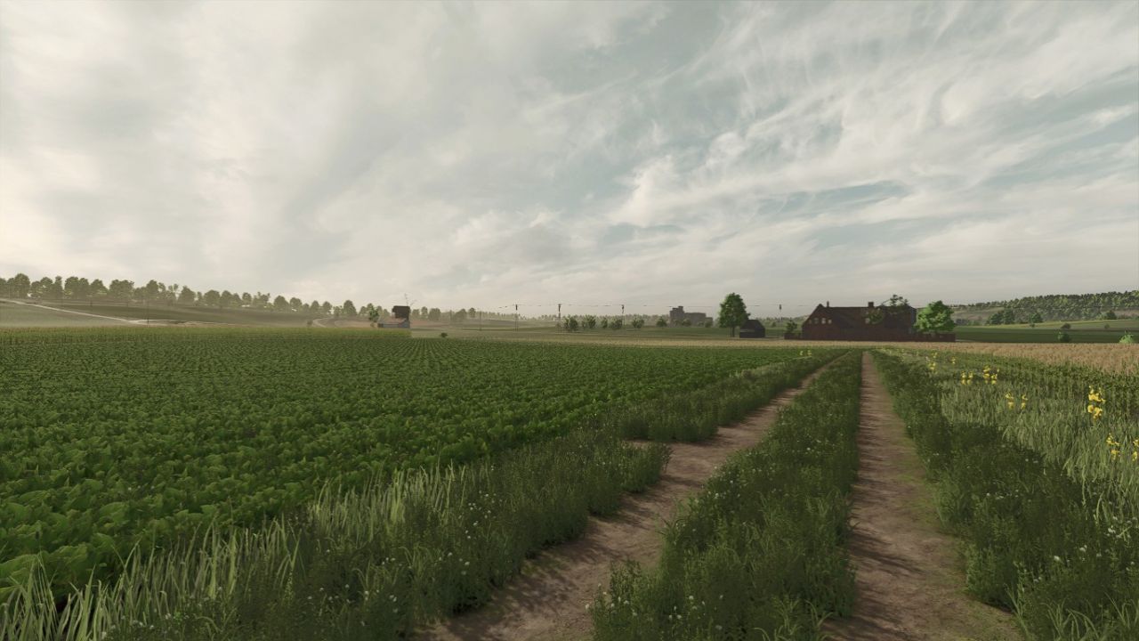 Real Sky (remake) v1.1