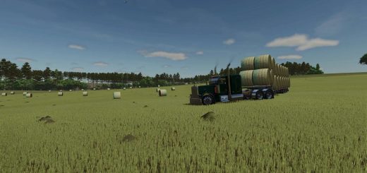 American Flag Net Wrap (Hay Texture) v1.0