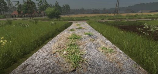 Asphalt and Paved Roads v1.0.0.2