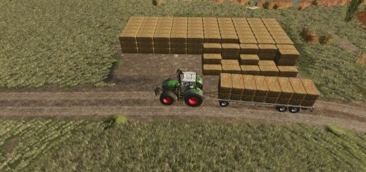 Automatic Bale Storage v1.0