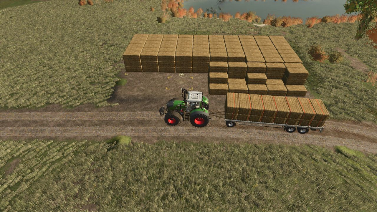 Automatic Bale Storage v1.0