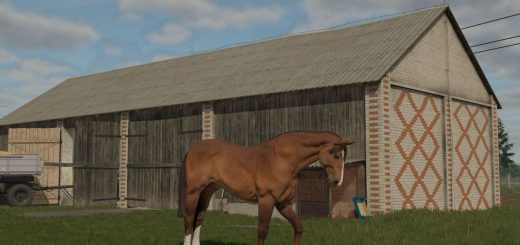 Barn 1969 v1.0